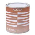 Flatting Brillante per Esterno ALCEA Trasparente 750 m