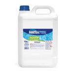 ANTIALGHE PER PISCINE ALGASTOP LT 5