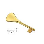 Chiave oro lucido Frascio 510