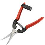 Forbice cogliuva curva 19cm Falci 247G01619C